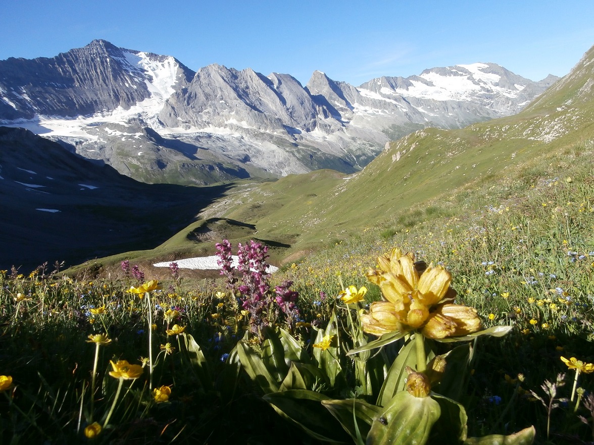 27 tignes plan du st esprit 5