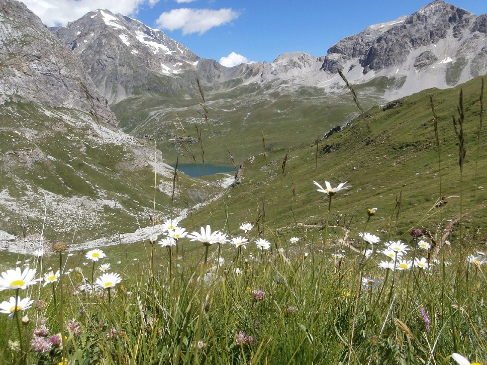 27 tignes vers le lac de la pagne 3