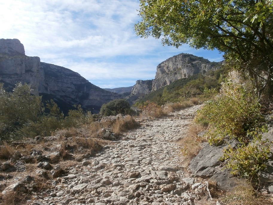 44 saint guilhem le desert 62