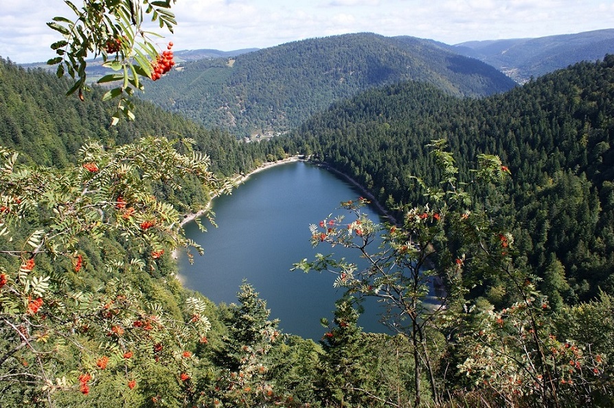 85 lac des corbeaux plongeant